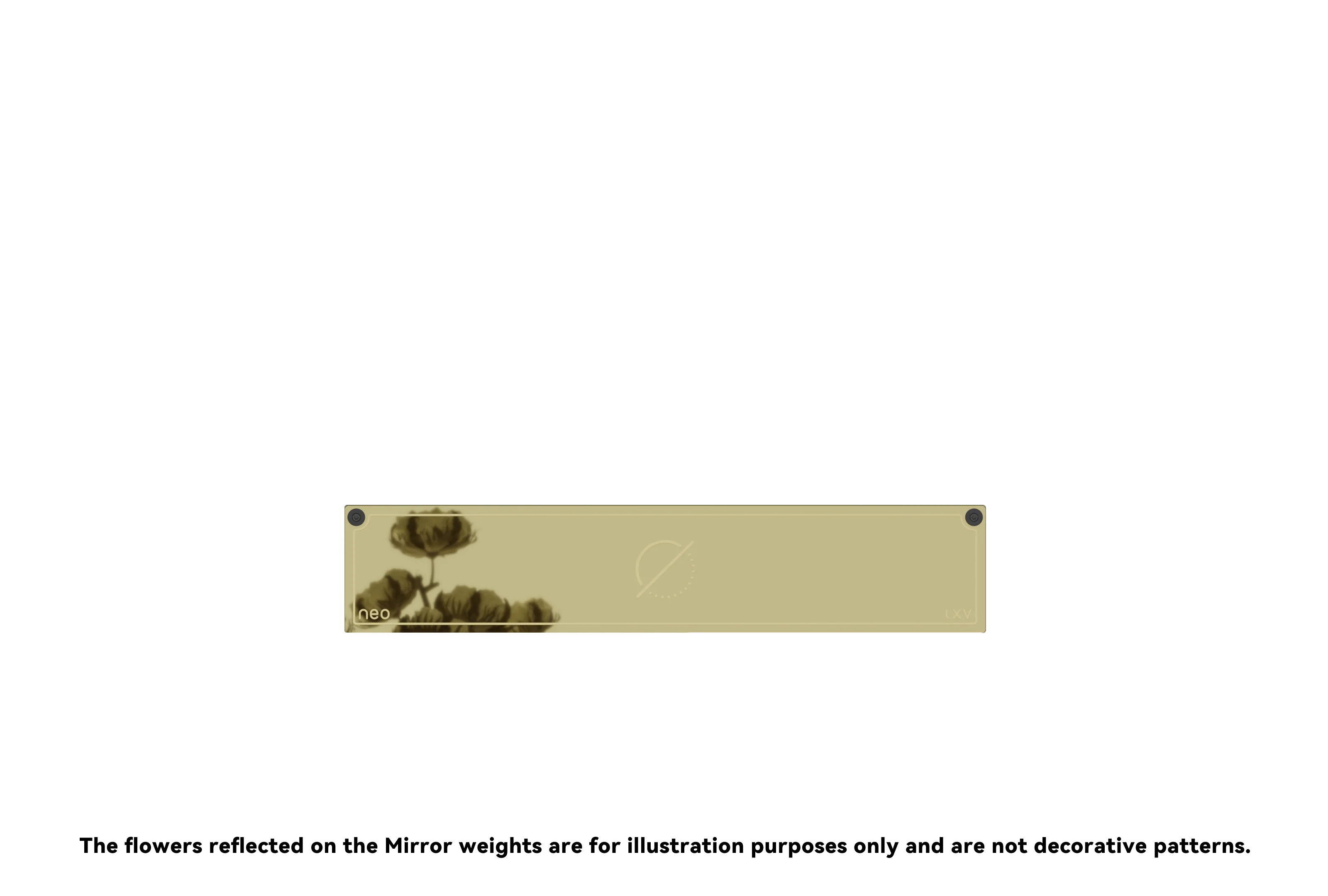Thumbnail 16